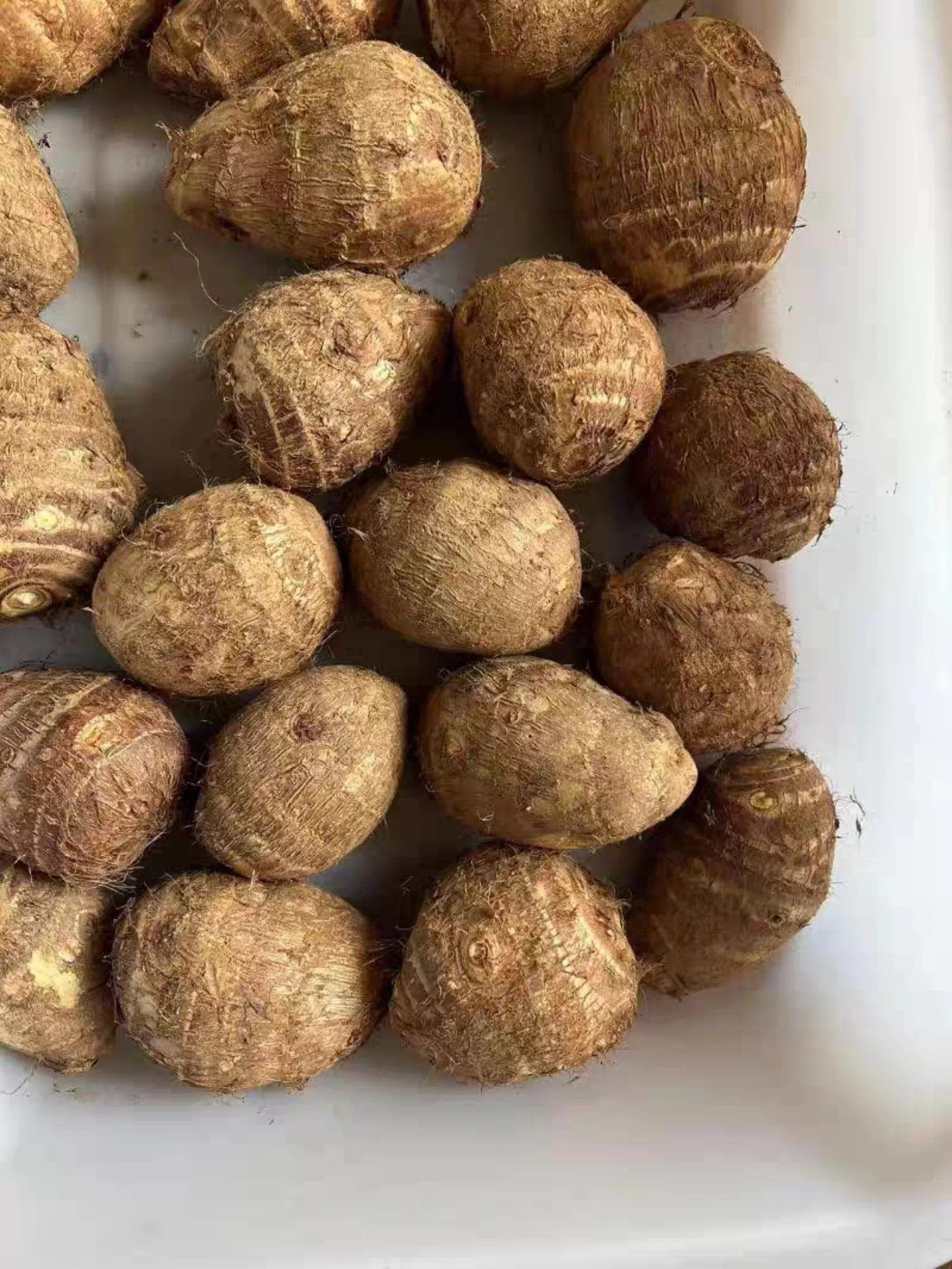 Овощной свежий новый свежий маленький TARO из Вьетнама