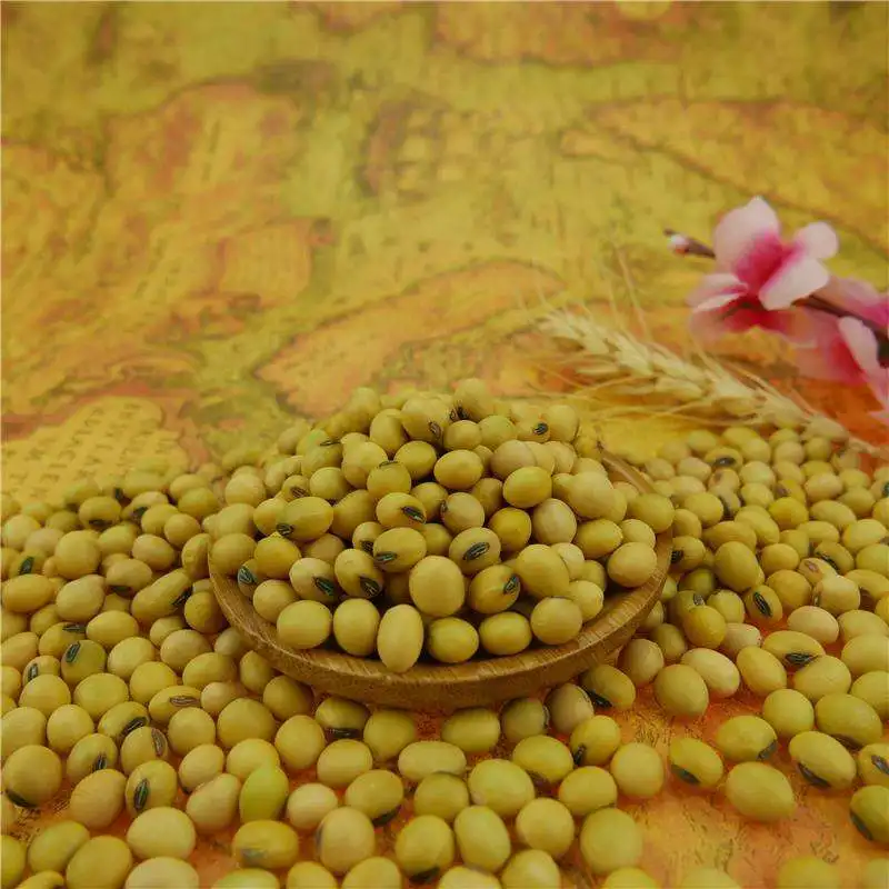 Wholesale Organic Non-Gmo Soyabean Yellow Soybean Soja Soya Beans