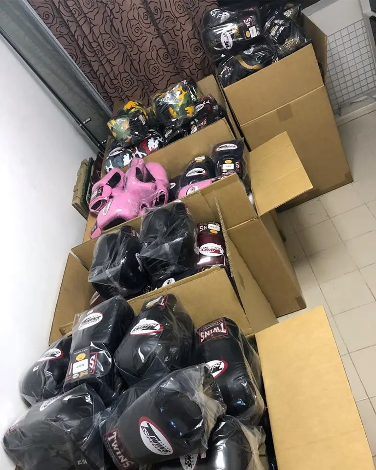 Wholesale Printed Twins Boxing Gloves Professional Sparring Gloves Real Leather Custom Logo Boxing Gloves