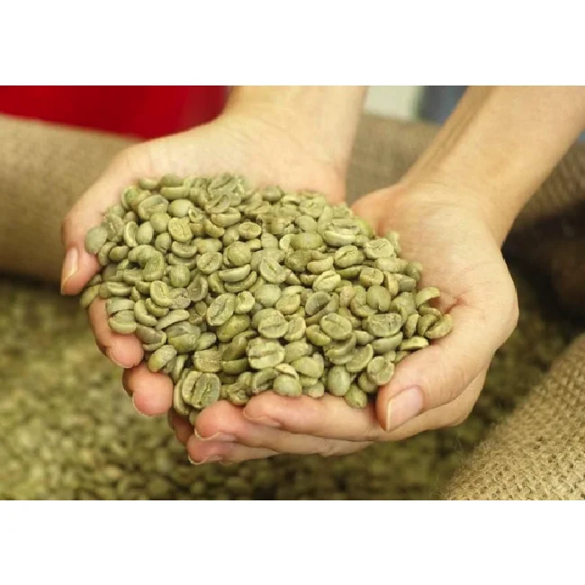 Environmental Friendly Packaging Competitive Price Ferment Free ML Washed Arabica Screen 14 Coffee Beans