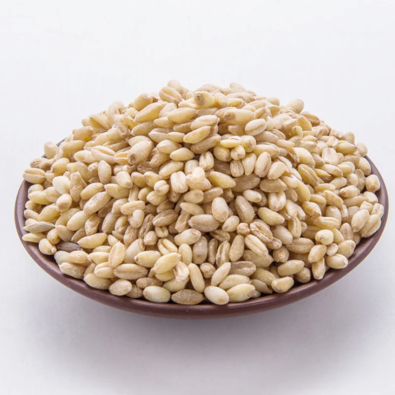 Cheapest Price Supplier Bulk Organic Dried Whole Wheat Grains With Fast Delivery
