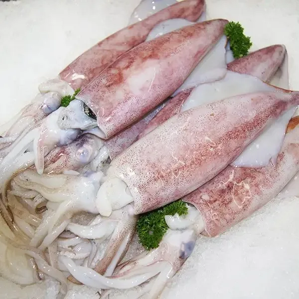 Высококачественный замороженный свежий круглый кальмар