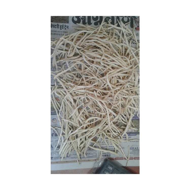 Top Selling New Product Indian Herbs White/Safed Musli Chlorophytum Borivilianum for Bulk Buyers