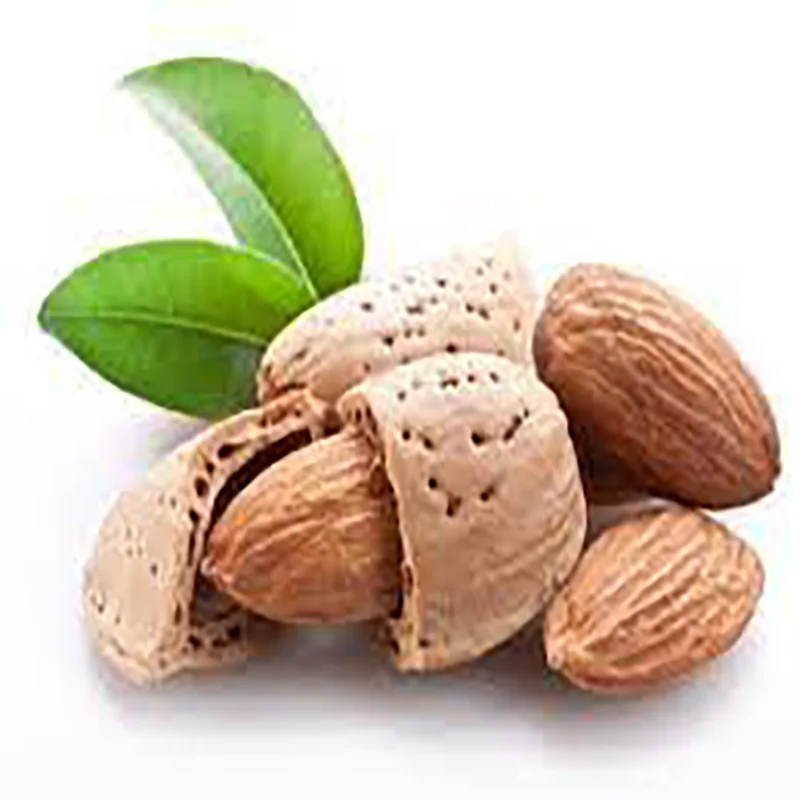Factory price Almond Nuts / Sweet Almond Nuts