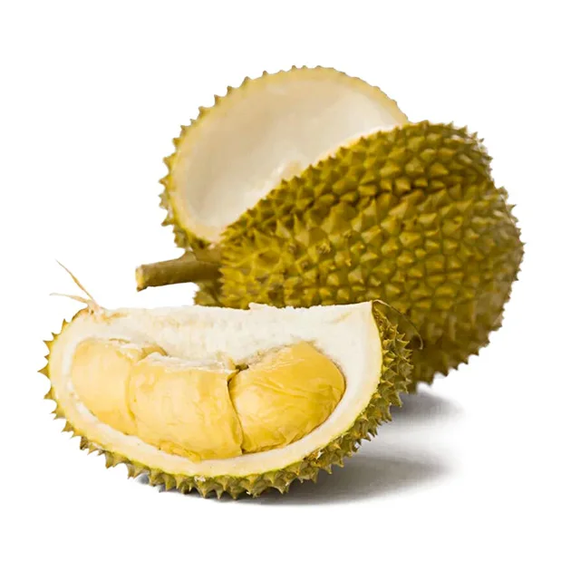 For Sale Frozen Durian From Viet Nam 100% Natural Fresh High Quality Best Price For Wholesale