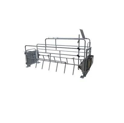 Sow Farrowing Cage Essential Slaughtering Equipment