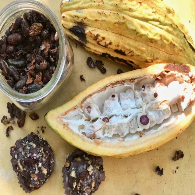Fermented Fruity Cocoa Beans