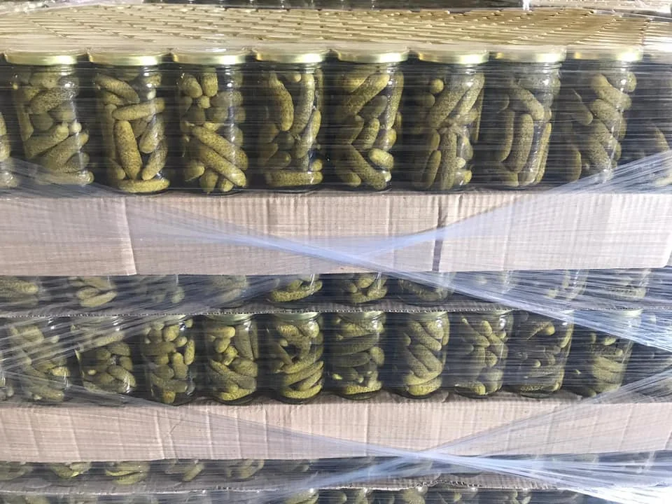TW6 Cucumber Pickles In Glass Jars Preserved Gherkins in Brine From Viet Nam Drum Packing 0084971886886