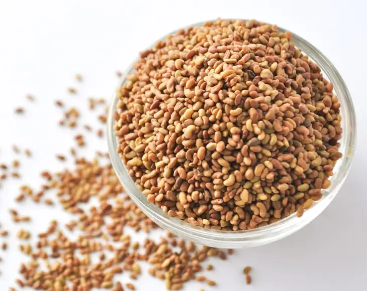 Органические семена люцерны для прорастания Non GMO Sproutable - by Food To Live