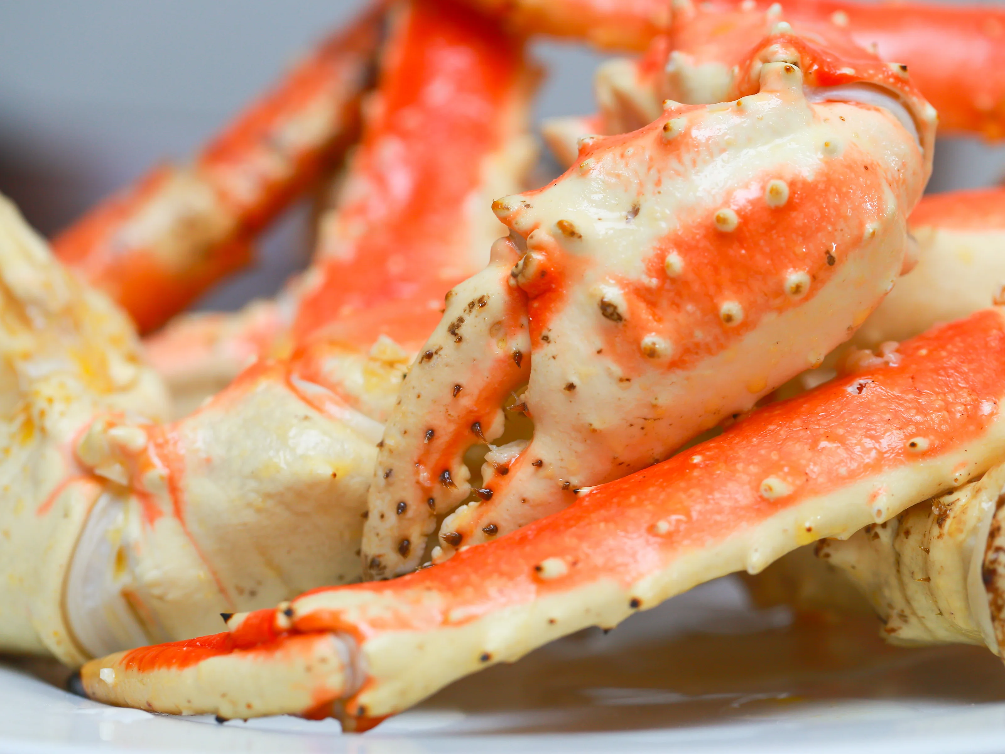 Crabs,Blue Crabs,King Crabs /Live Seafood