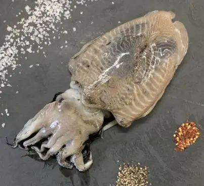 Altawakal Frozen Foods Hot Selling Frozen Cuttlefish Delicious Nutritious Top Quality For Export from Pakistan