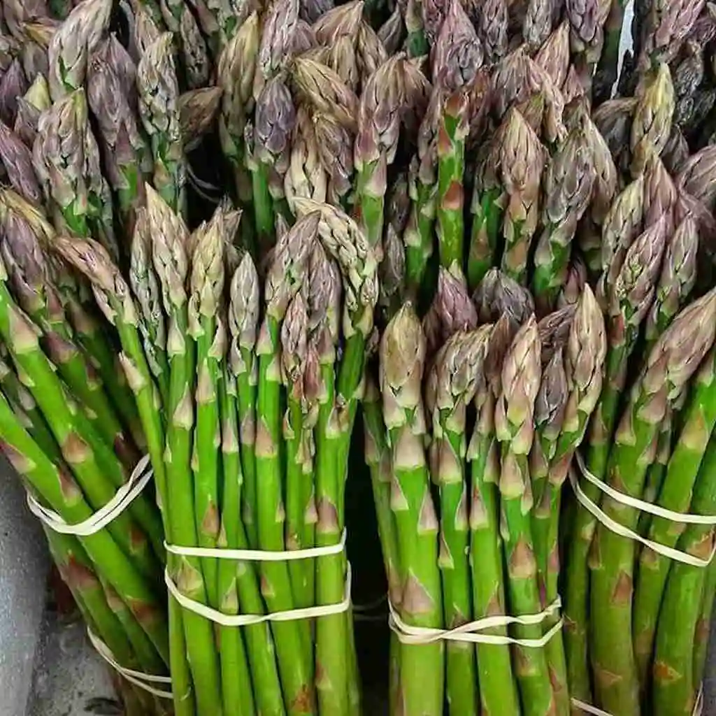 FRESH ASPARAGUS