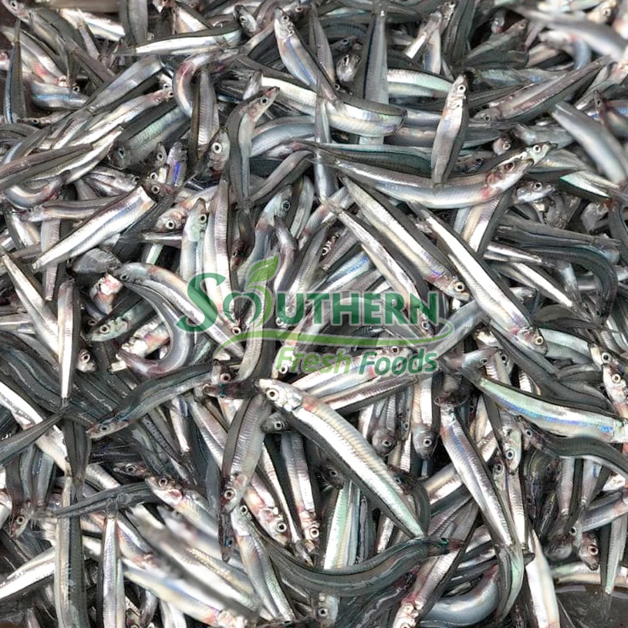 Bulk Sales Sea Fish Size process IQF Wild Caught SFF weight packaging anchovy Frozen Blue Anchovy from Vietnam