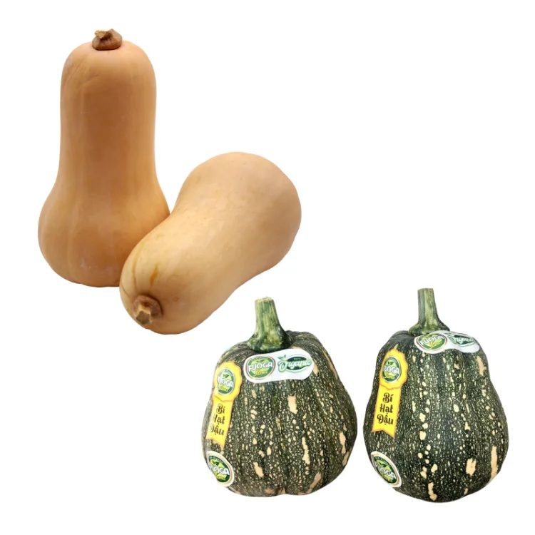 organic pumpkin Good choice good taste using for food packing in carton Made in Vietnam Manufacturer