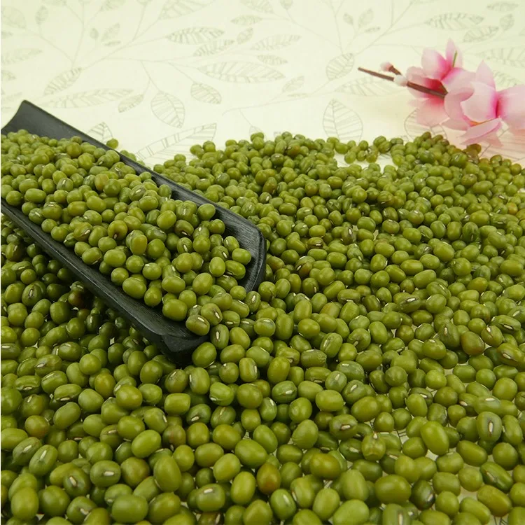Высококачественные зеленые бобы mung vigna bean с сертификатом рыночной цены от производителя на продажу