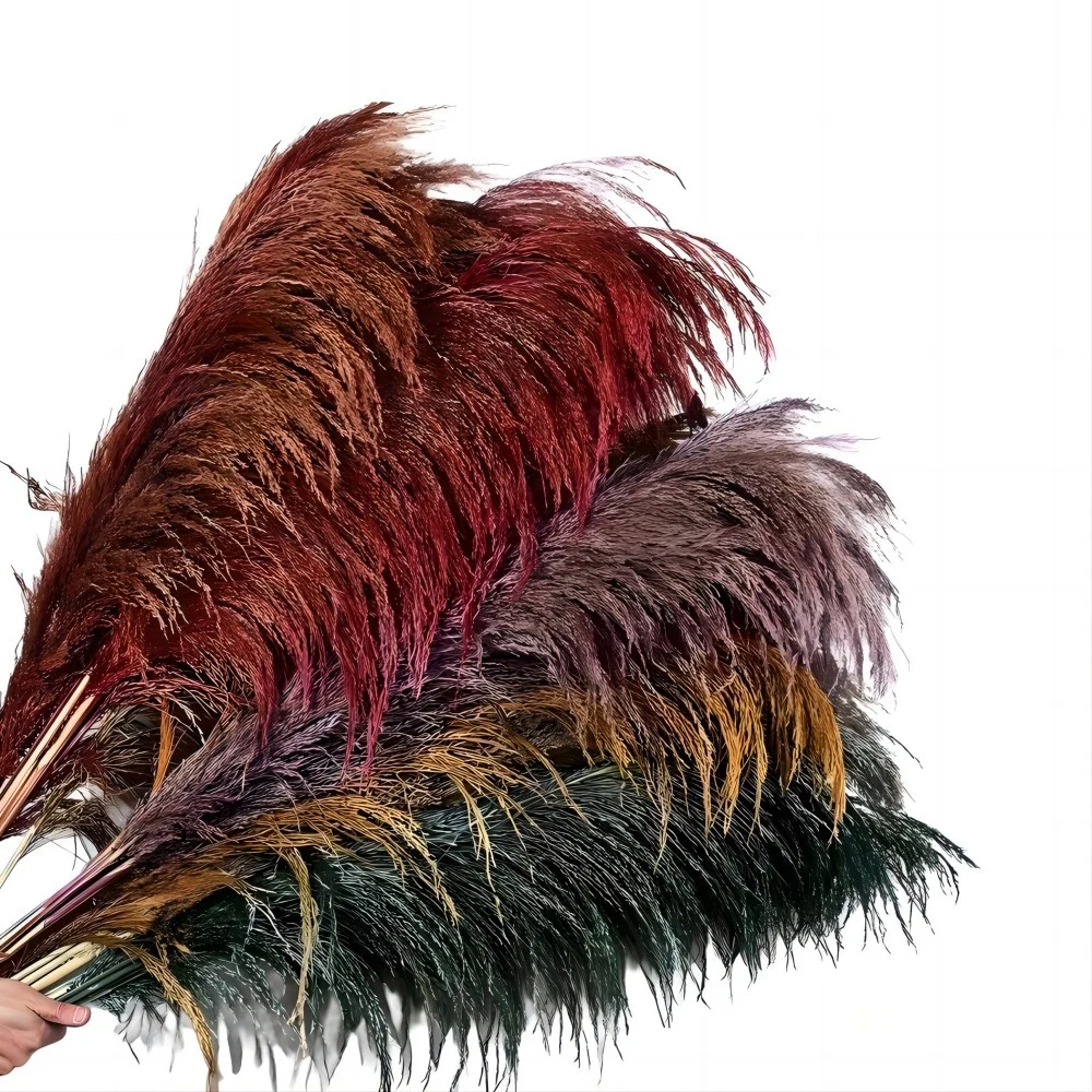 Oversized fluffy piece single pompas grass dried flowers boho home decor wholesale big discount pampas bouquets centerpieces