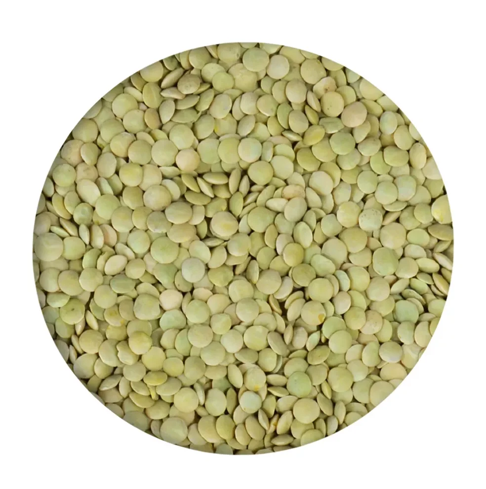 Natural Quality Best Price Football Green Lentils Available In Bulk red lentil Widely Selling Export Quality