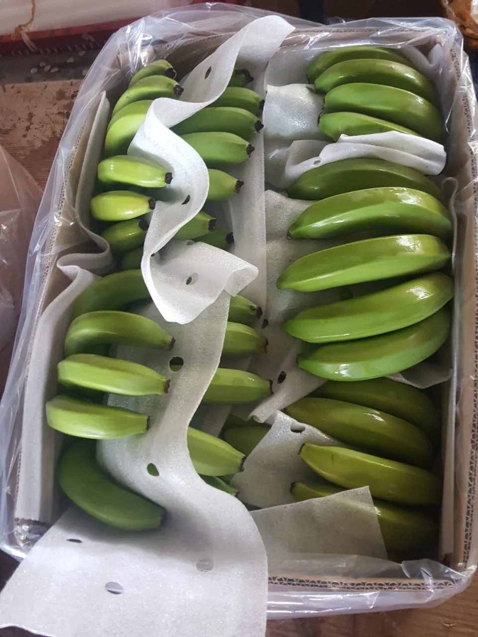 High quality Vietnamese fresh bananas exported to China Korea and Malaysia