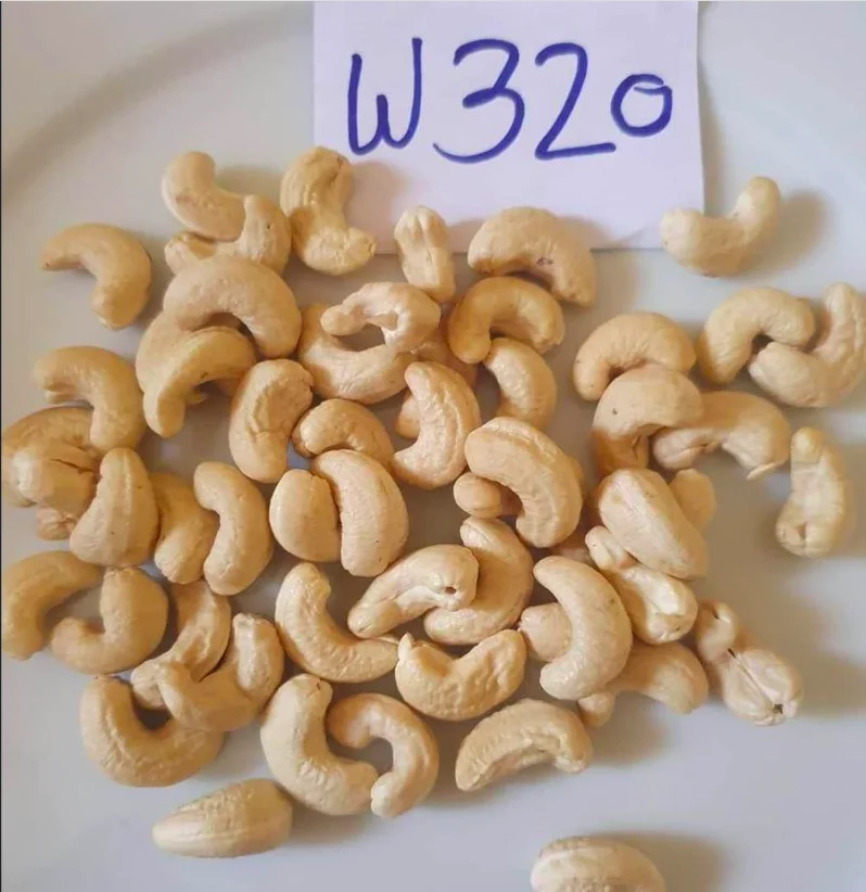 CASHEW NUT WW180, 210, 240 320, 450 / Premium Cashew From Vietnam manfaat jambu mete