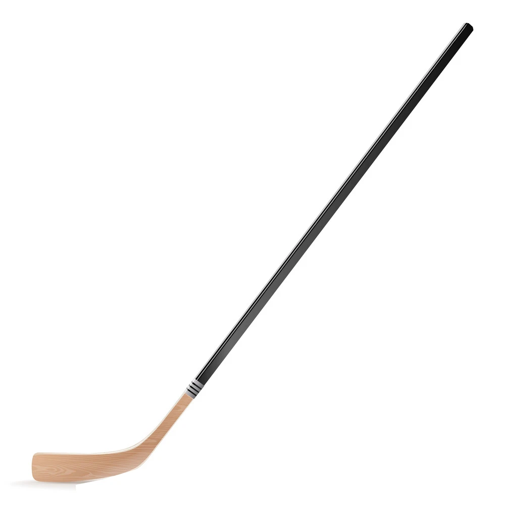 Professional Hockey Games Grass Use Field Hockey