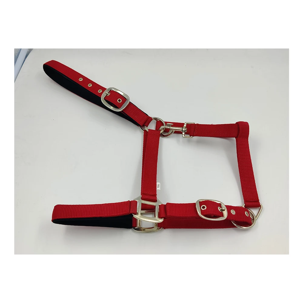 New Arrival Horse PP Halter High Quality Adjustable and Durable Fancy Padded Leather Nylon and PVC Best Price Western Style