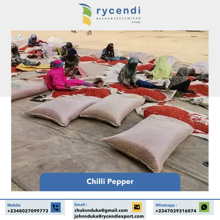 Best Quality Single Spices & Herbs Wholesale Dried Red Hot Spice Round Stemless Red Chilli Pepper from Nigeria