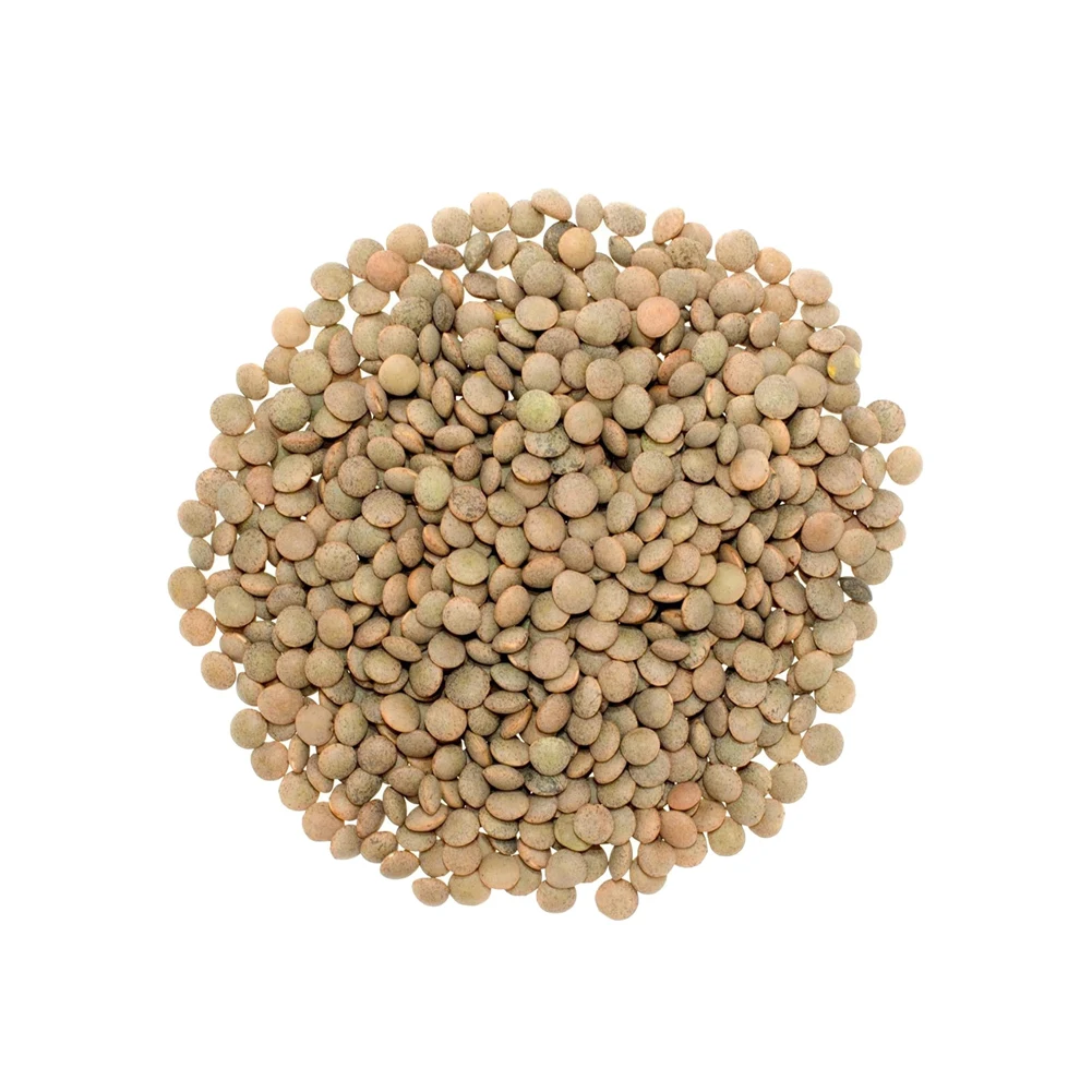 Dal Whole Red Lentils / Red Lentils Football Red Lentils Canada Australia Export TOP SELLER 25kg AD Bulk Packaging Dried from DE