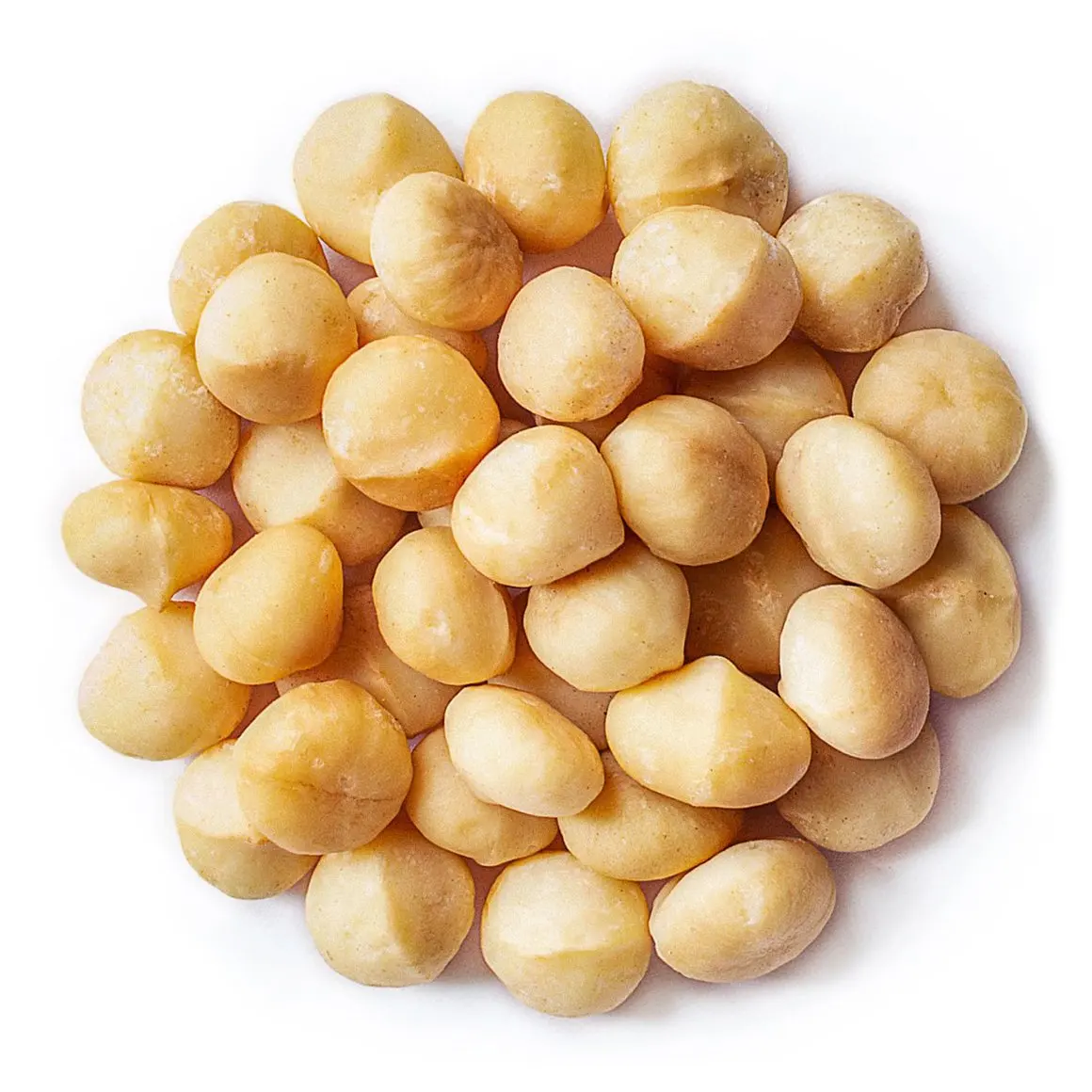Fresh Macadamia Nuts in Bulk for Wholesale Premium Quality Macadamia Nuts for Large Orders and Retail