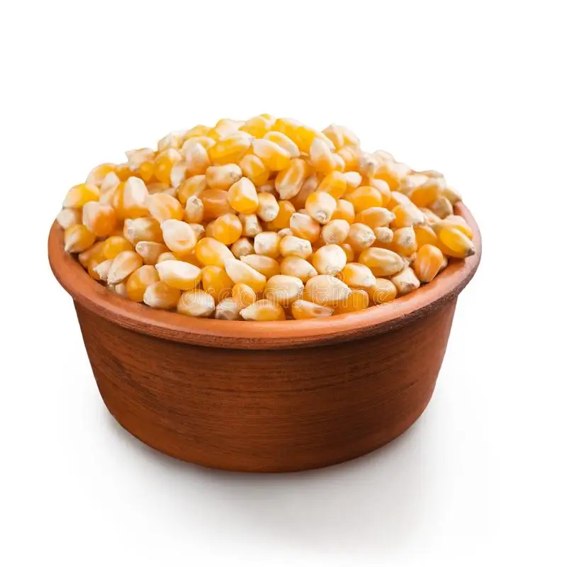 BEST YELLOW CORN FOR ANIMAL FEED FROM CHINA. BUY NOW AND GET A DISCOUNT
