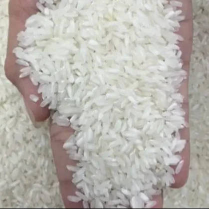 Short Grain IR504 Rice Vietnam Best Quality IR504 Vietnamese Rice White and Clean Wholesale OEM Service