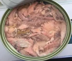 Canned-Frozen-Salmon-PET.jpg