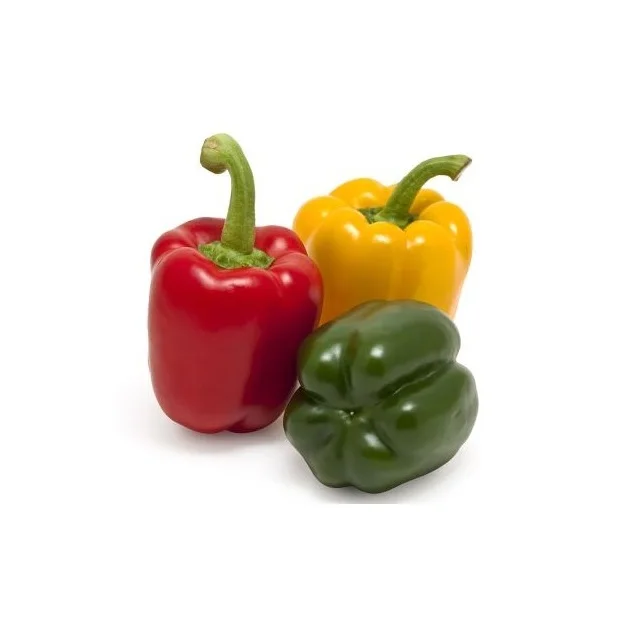 fresh pepper , FRESH CAPSICUM , bell pepper