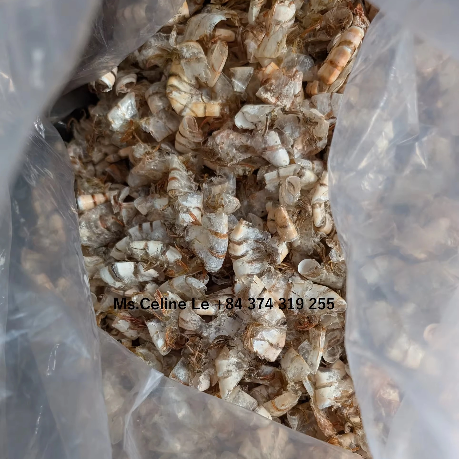 Сушеные креветочные ракушки натуральные свежие сушеные креветки от вьетнамских поставщиков