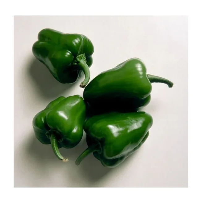 Fresh Color Capsicums/Bell Pepper