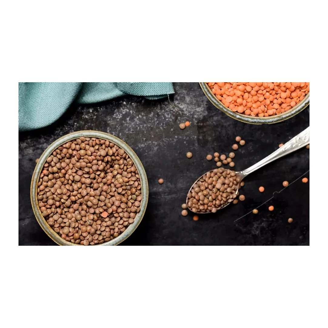 Wholesale High Quality Organic Red split Lentils With Out Husk Lentils(Red, Green, black and white)