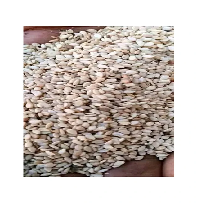 Bulk Quantity Supplier of Premium Quality Wholesale Raw Dried Egusi Seeds / White Melon Seeds from Nigeria