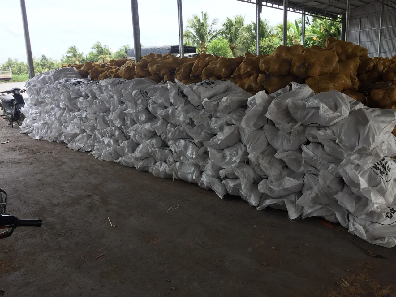 Экспортер тропических фруктов/органический полуочищенный зрелый кокос/свежий коричневый кокос из Вьетнама (Whatsapp 84 366 808 683)