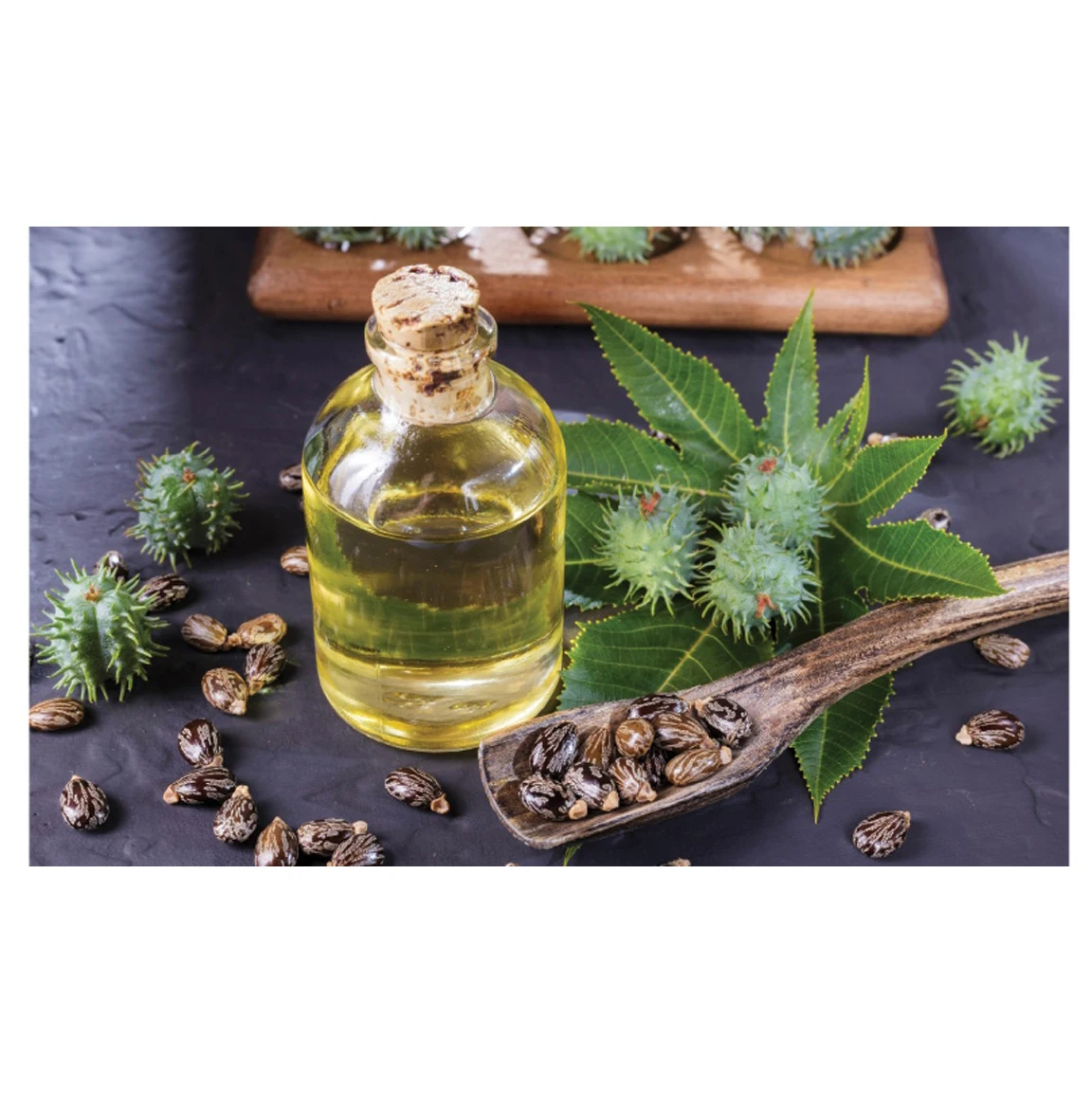 Pure and Refined Castor Oil for Cooking Bulk Sale