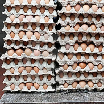 Hot Selling Fresh Brown/White Chicken Table Eggs for sale/Farm Fresh Chicken Table Eggs Brown and White Shell Chicken Eggs