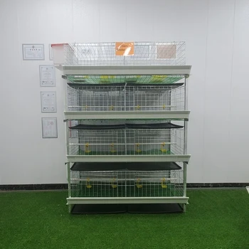 Favorable Price H Type Broiler Chicken Cage with 60/80 birds capacity  Breeding Cages for farm