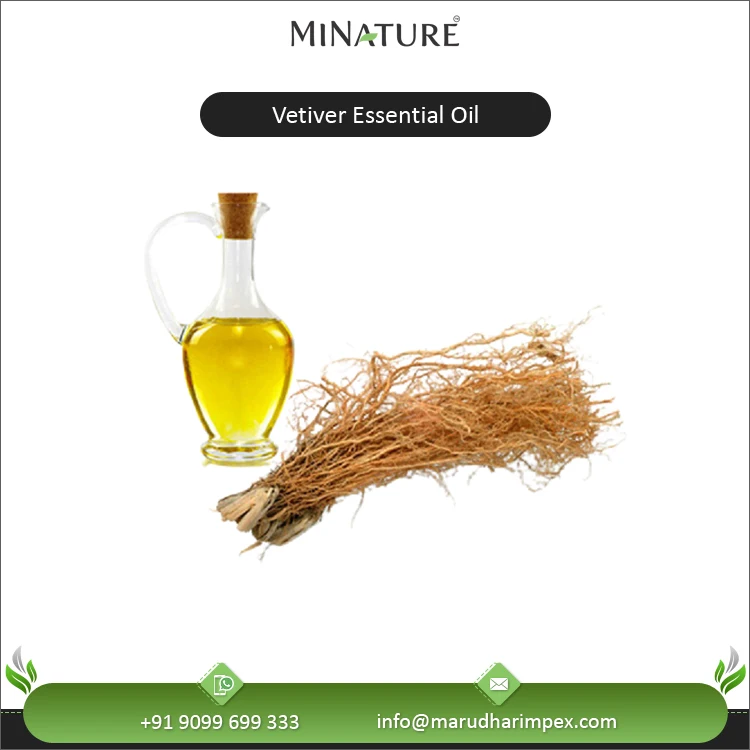 Exclusive Sale on Premium Quality OEM Custom Made 100% Natural and Pure Vetiver Essential Oil at Best Market Price