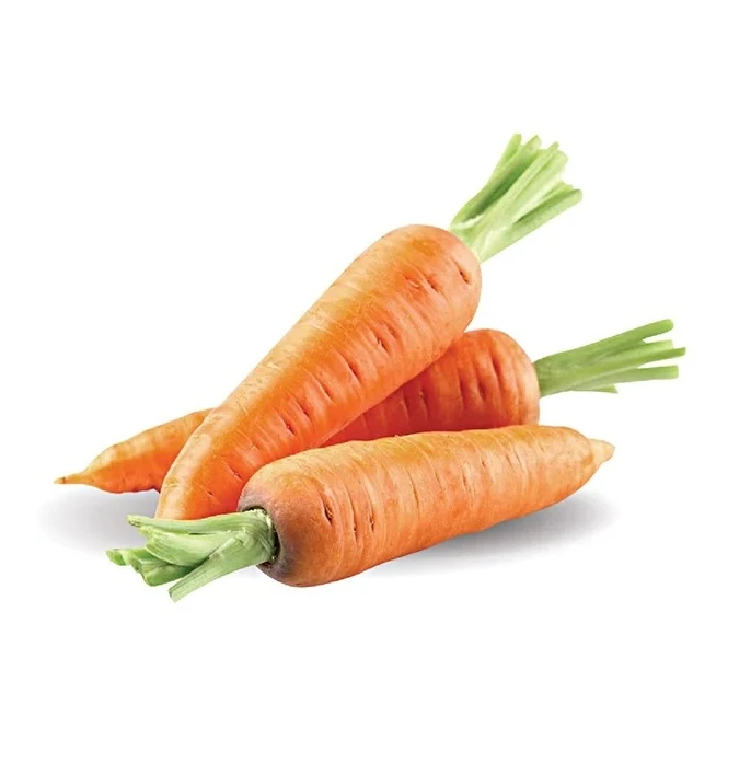 Горячая распродажа! Новый урожай свежих органических овощей оптом, семена картона/моркови, цена моркови оптом на экспорт