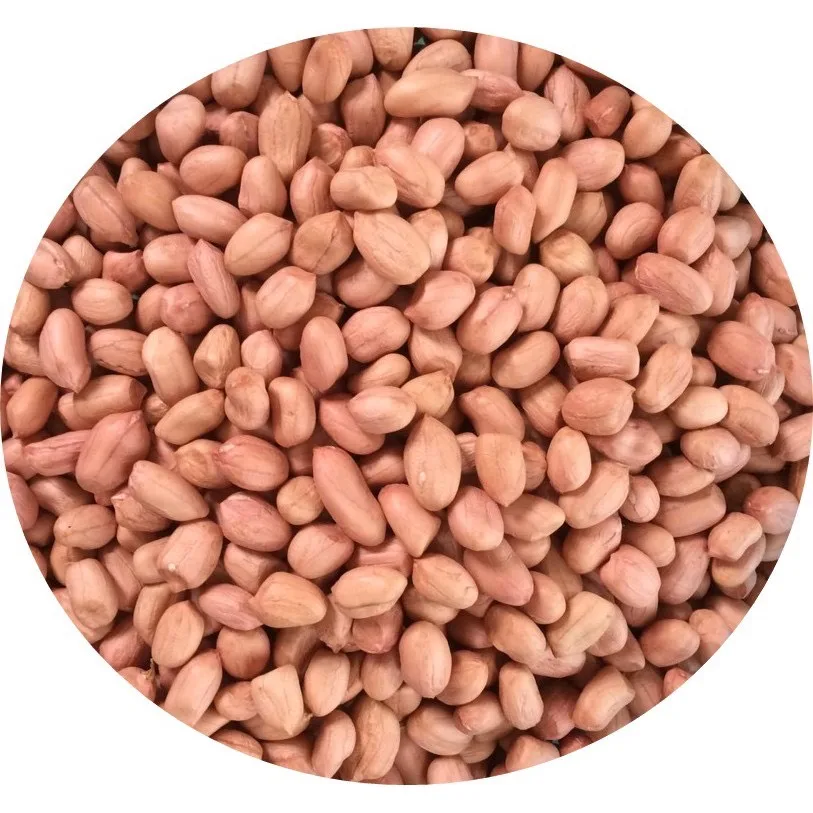 High grade Wholesale Natural Bulk Dried Peanut at competitive price from Vietnamese manufacturer