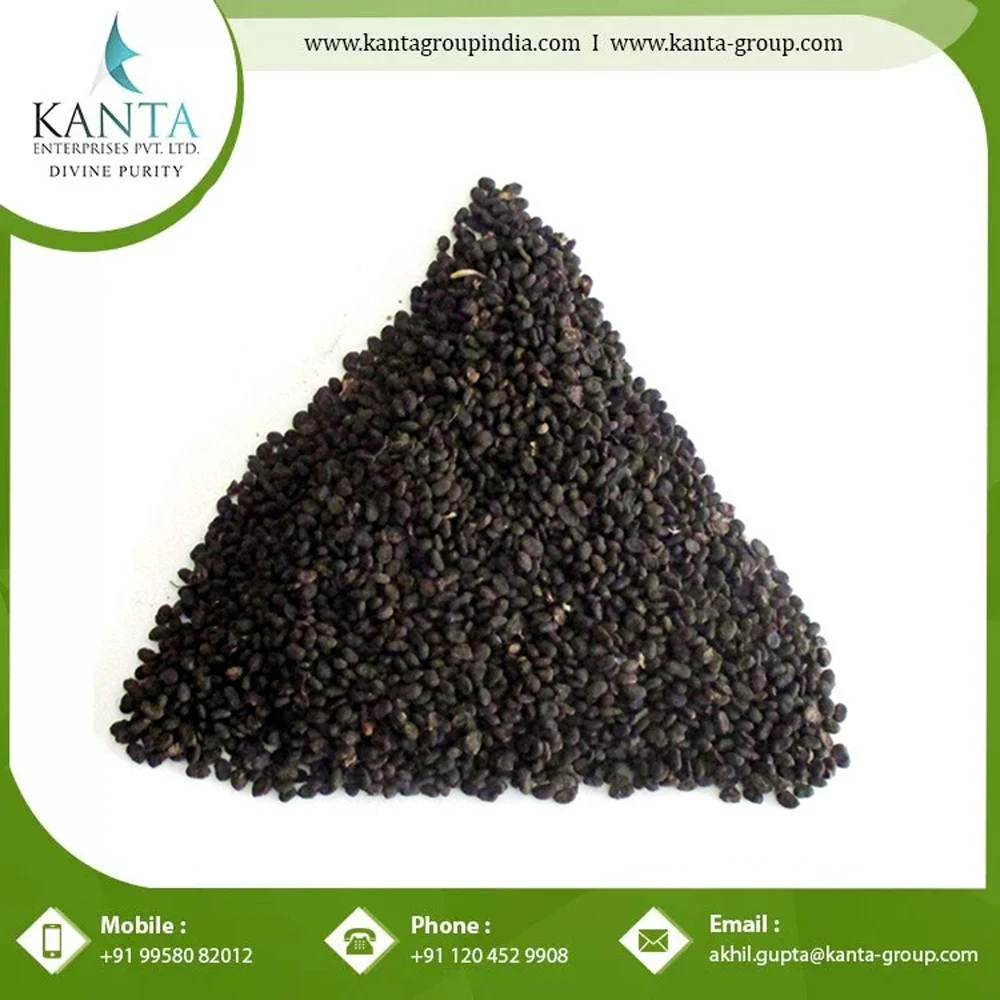 Cosmetic Ingredient Raw Material Cold Pressed 100% Pure and Natural Psoralea Corylifolia Oil At Bulk Wholesale Price