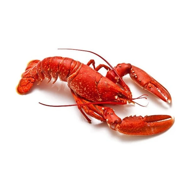 Lobster3.jpg