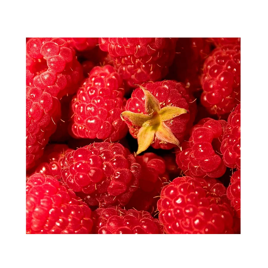 High Quality Fresh Fruit Frozen IQF Raspberries At Low Price