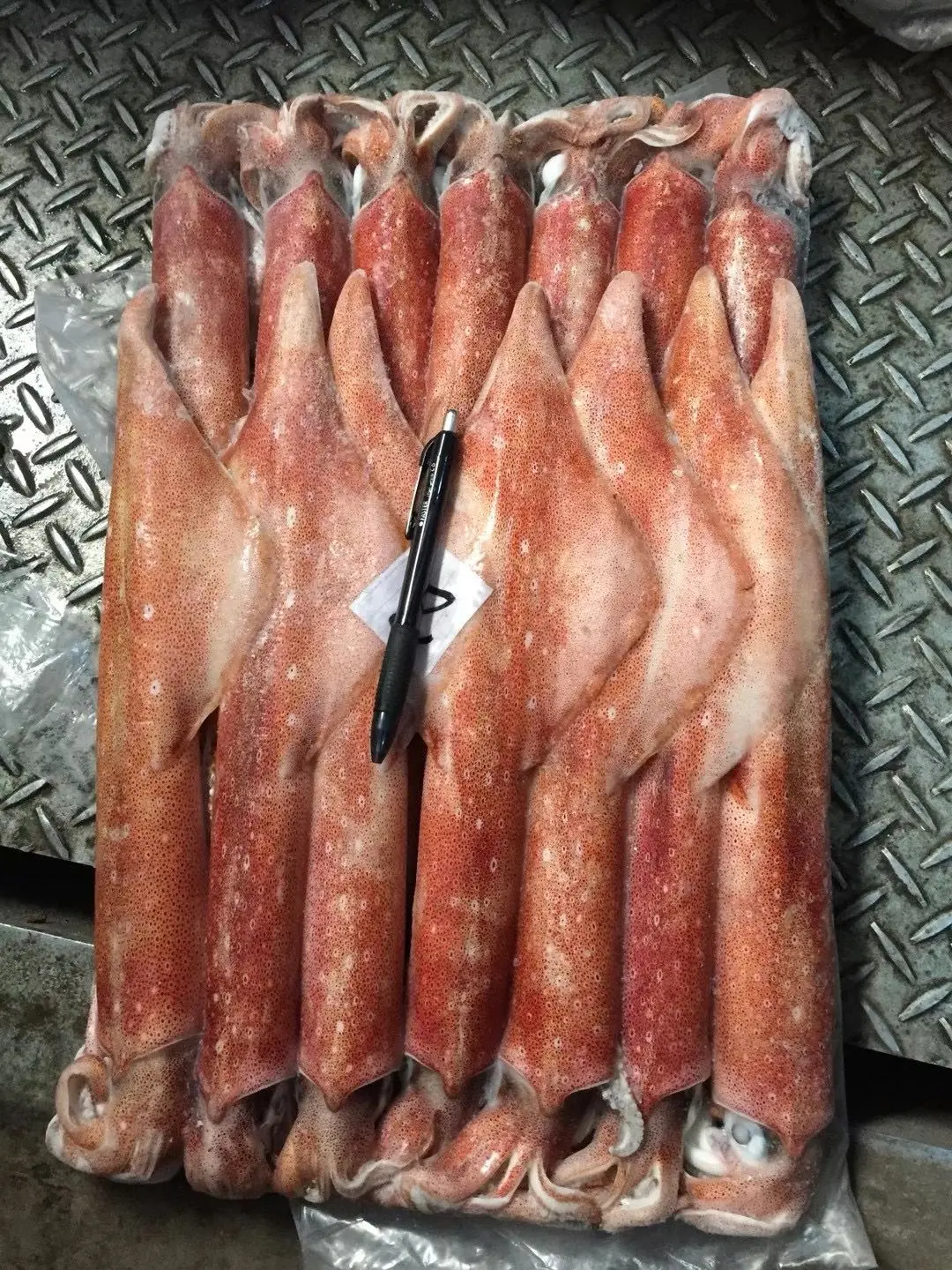 frozen illex squid whole round Chinese Loligo Squid frozen illex squid for sale