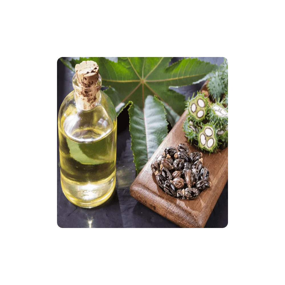 Wholesale Bulk Price Cold Pressed Jamaican Black Castor Oil for Hair Growth 100% Pure Natural Organic Castor Oil