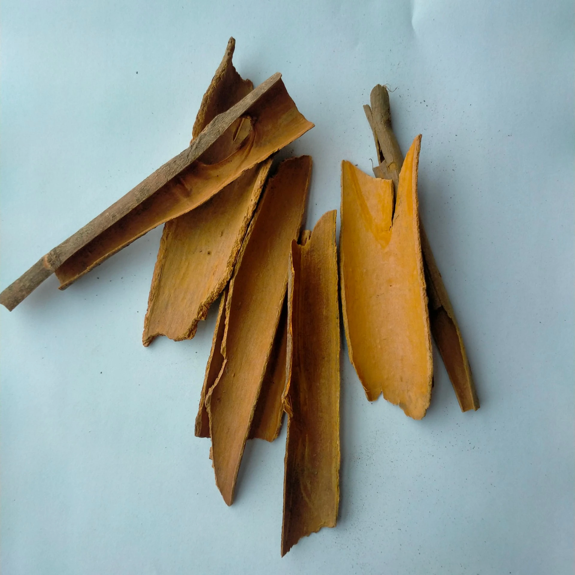 Dried Cassia splits Spices & Herbs Product 100% Natural from Vietnam 2022 (+84 393 411 961)