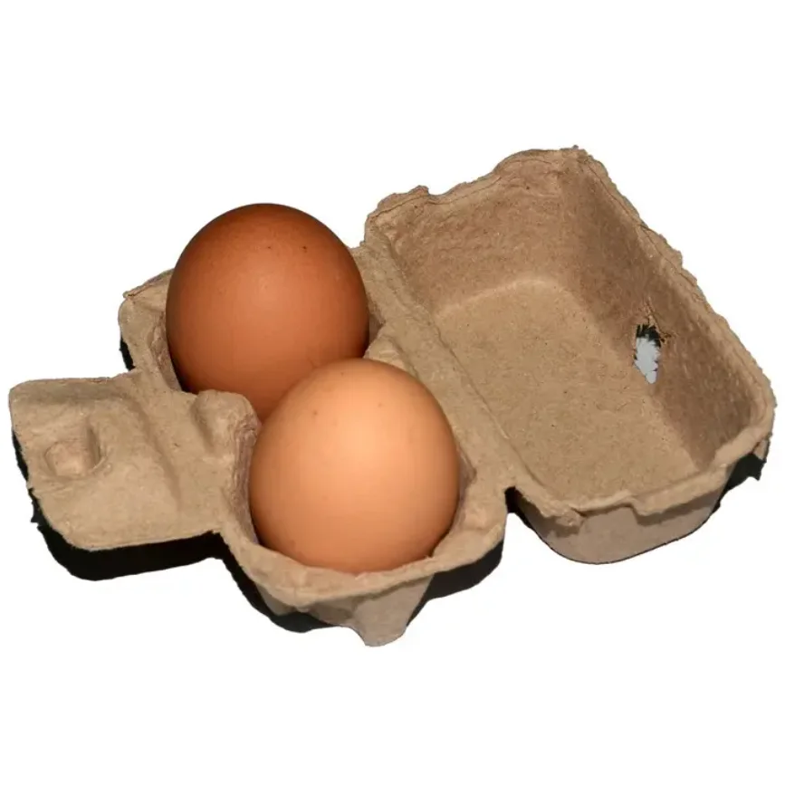 Eggs Packaging Box Cartons Egg Trays Chicken Paper Pulp Bagasse Pulp Egg Tray Cheap Price